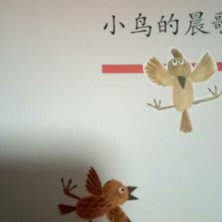 我是小学生