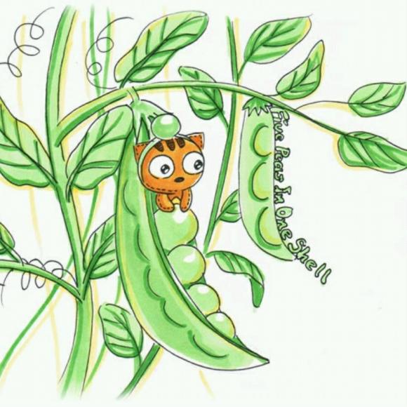 一年级9班何丞,黄豆荚