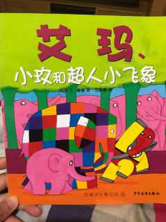《花格子大象艾玛——小玫和超人小飞象》