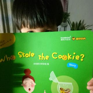 《Who stole the cookie？》