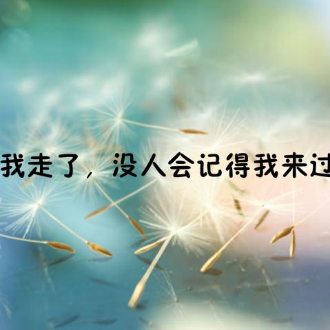 【陪你到临睡前】第五夜 我走了,没人会记得我来过