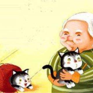 赛锐思睡前故事《老奶奶和小花猫》