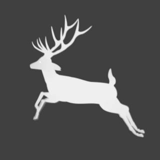 你还年轻,可以不靠谱