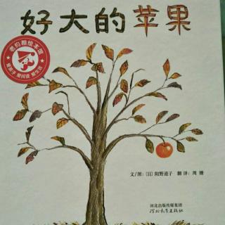 好大的苹果🍎