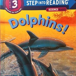 71. Step into reading-Dolphins!