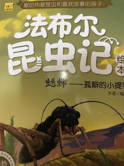 昆虫记之蟋蟀