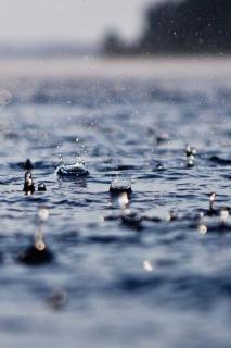 雨霖铃       刘永