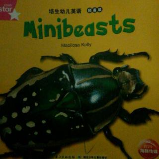 Minibeast