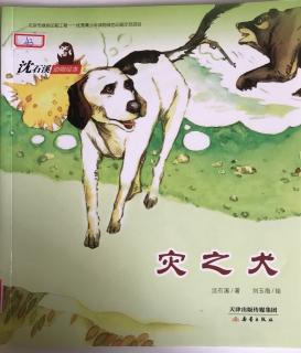 灾之犬