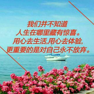 高效的学习方法