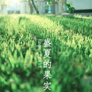 第十九期 《夏感》