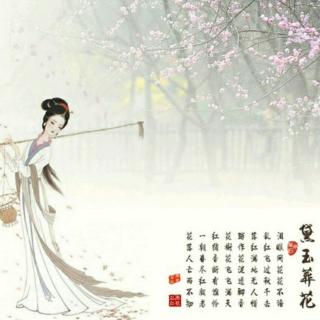 林黛玉意识流(文/花落春在)