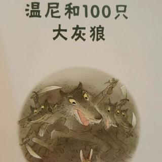 倩倩讲故事《温尼和100只大灰狼》