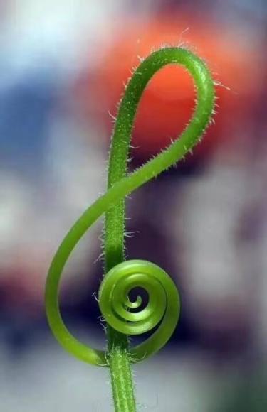 【2017年10月11日】在线收听_朱恒95_荔枝fm