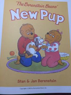 The berenstain bears' new pup