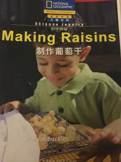 Makink Raisins