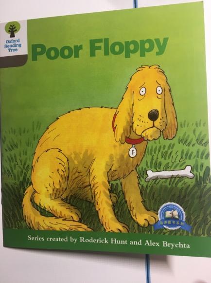 20171011 poor floppy