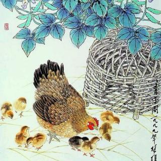 李海老师说说英语  hen 母鸡