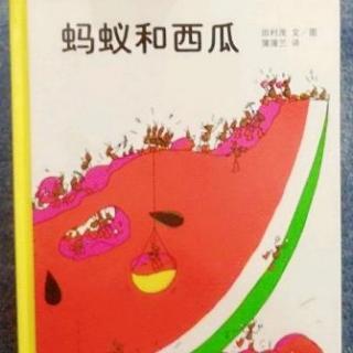 《蚂蚁和西瓜》🍉