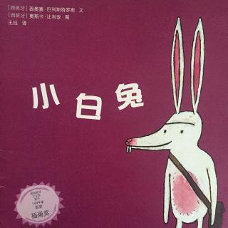 《小白兔》西班牙绘本