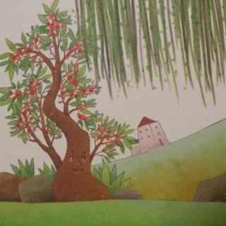 第247个故事——小柳树和小枣树