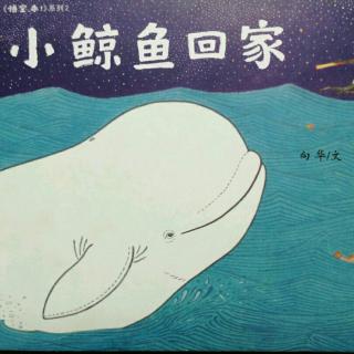 《小鲸鱼🐳回家》