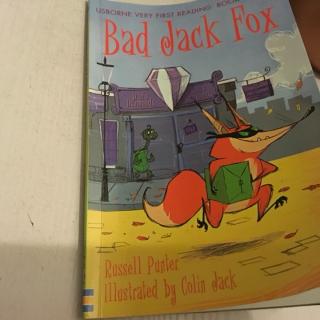 第一图书馆-4-Bad jack fox