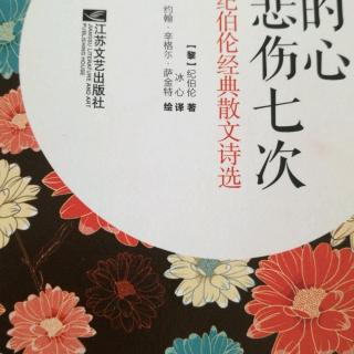 《我的心只悲伤七次》