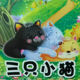 三只小猫🐱