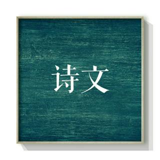 「诗文」苗苗：生活总是把好的一面给人看