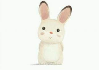 兔子对你说晚安day1