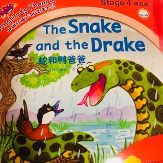 The  Snake  and   the  Drake
