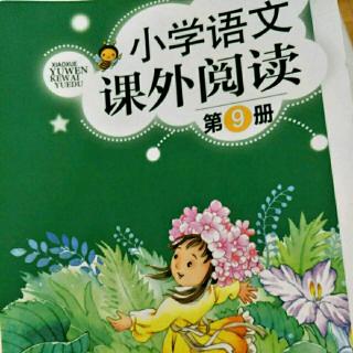 《课外阅读》8