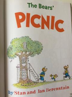 The bear's picnic