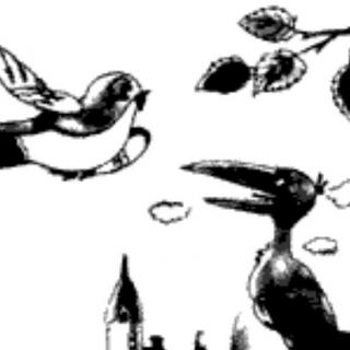 伊索寓言~The Swallow and the Crow
