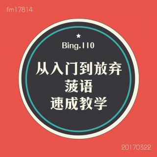 Bing.110】从入门到放弃——菠语速成教学。🍍