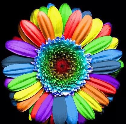 千里跃进大别山——李欣桐