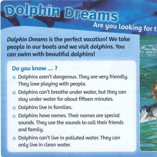 Family and friends 3 Unit 4 Reading - Dolphin Dreams