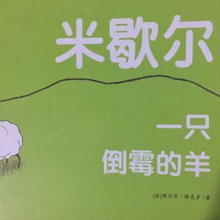 米歇尔🐑一只倒霉的羊