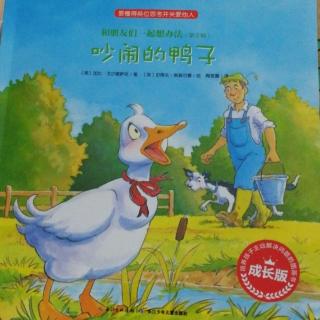 吵闹的鸭子