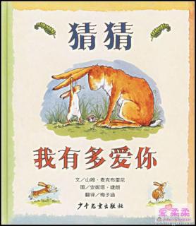 3.《猜猜我有多爱你》