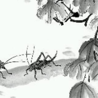 《〈唐风〉中的蟋蟀》乡谣