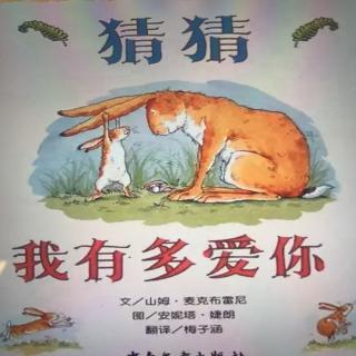 猜猜我有多爱你