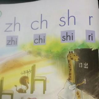 ⑧zh  ch  sh  r