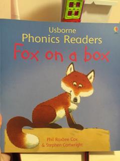 D171 fox on a box