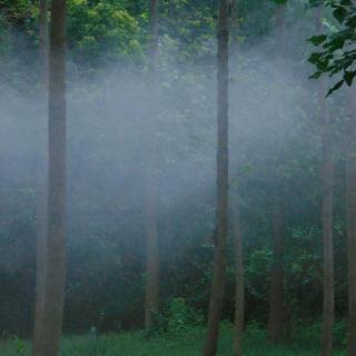 仓央嘉措《十诫诗》