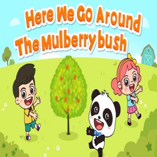 Here We Go Around The Mulberry bush