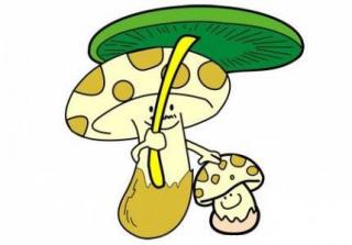 陪你做一只蘑菇
