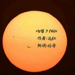 《吻留夕阳红》作者:远红