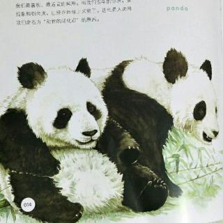 假如动物会说话-中国的国宝大熊猫